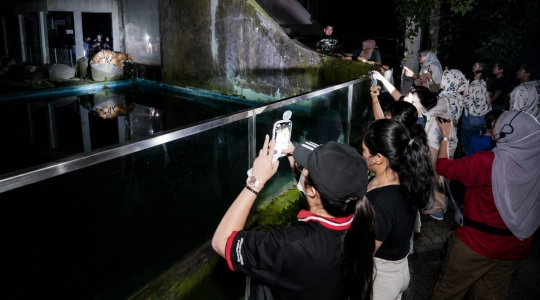 Zoo_Negara（ズーネガラ）で楽しむ1泊2日キャンプ体験